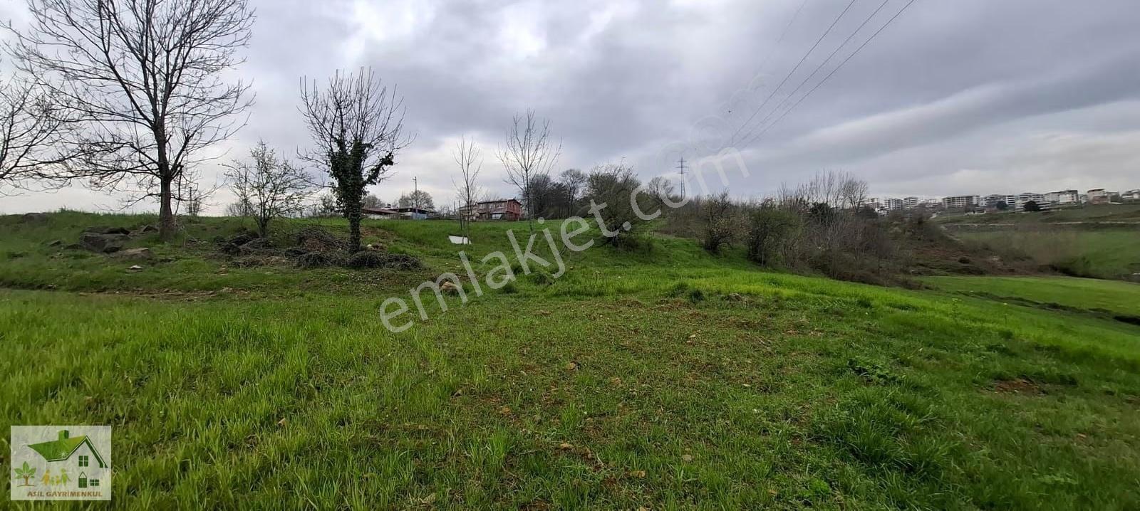 Samsun İlkadım Ataköy De 6 Kata İmar Köş Başı Arsa Emsal:1 30 - Görsel 6