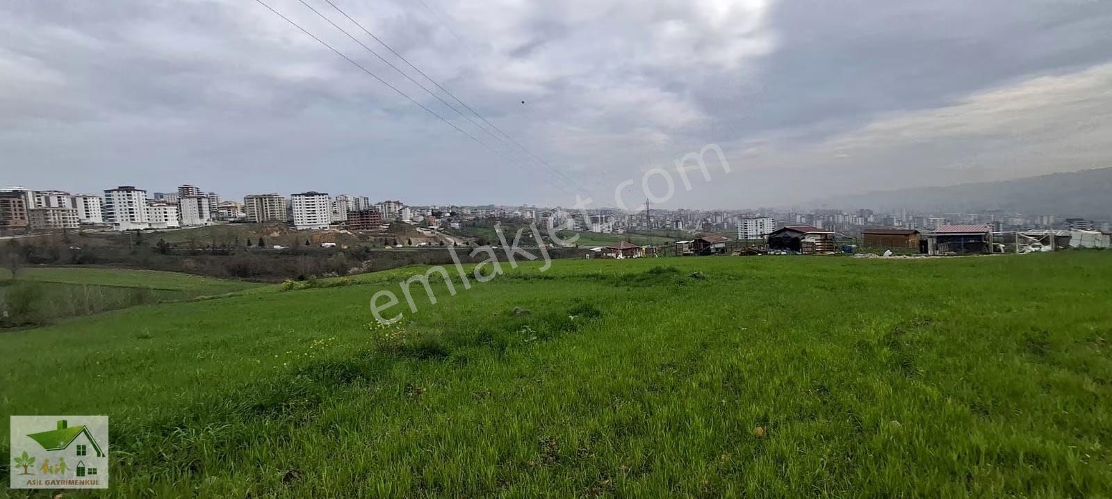 Samsun İlkadım Ataköy De 6 Kata İmar Köş Başı Arsa Emsal:1 30 - Görsel 14