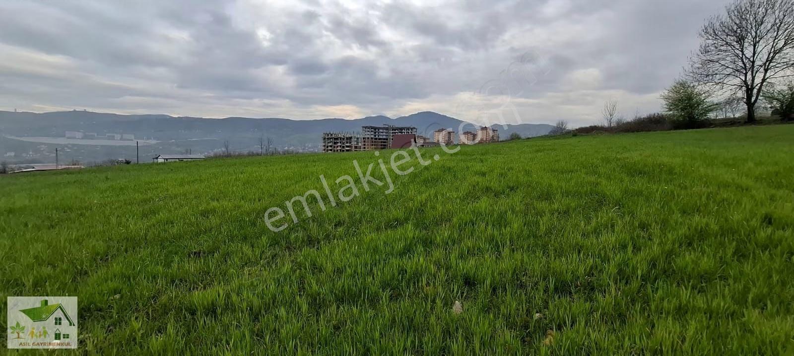 Samsun İlkadım Ataköy De 6 Kata İmar Köş Başı Arsa Emsal:1 30 - Görsel 16