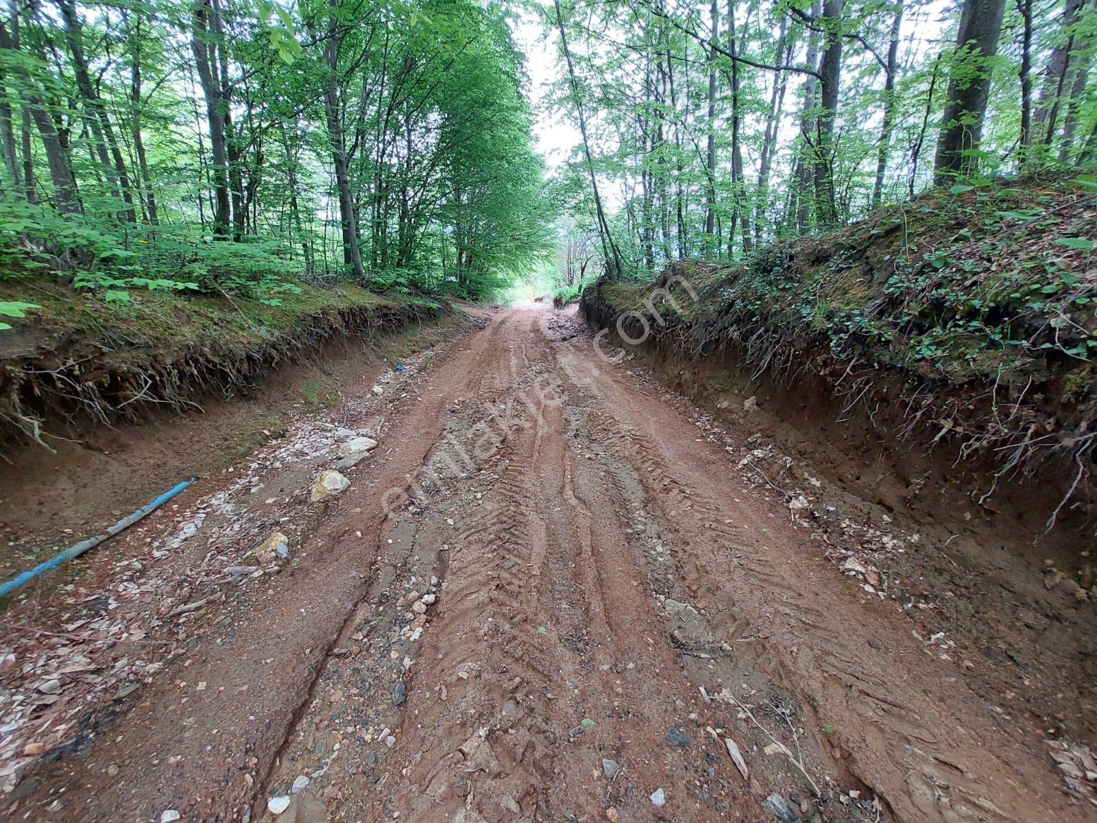 Cumalıkızık Civarı 2651 M2 Bahçe Suyu Yolu Var - Görsel 8