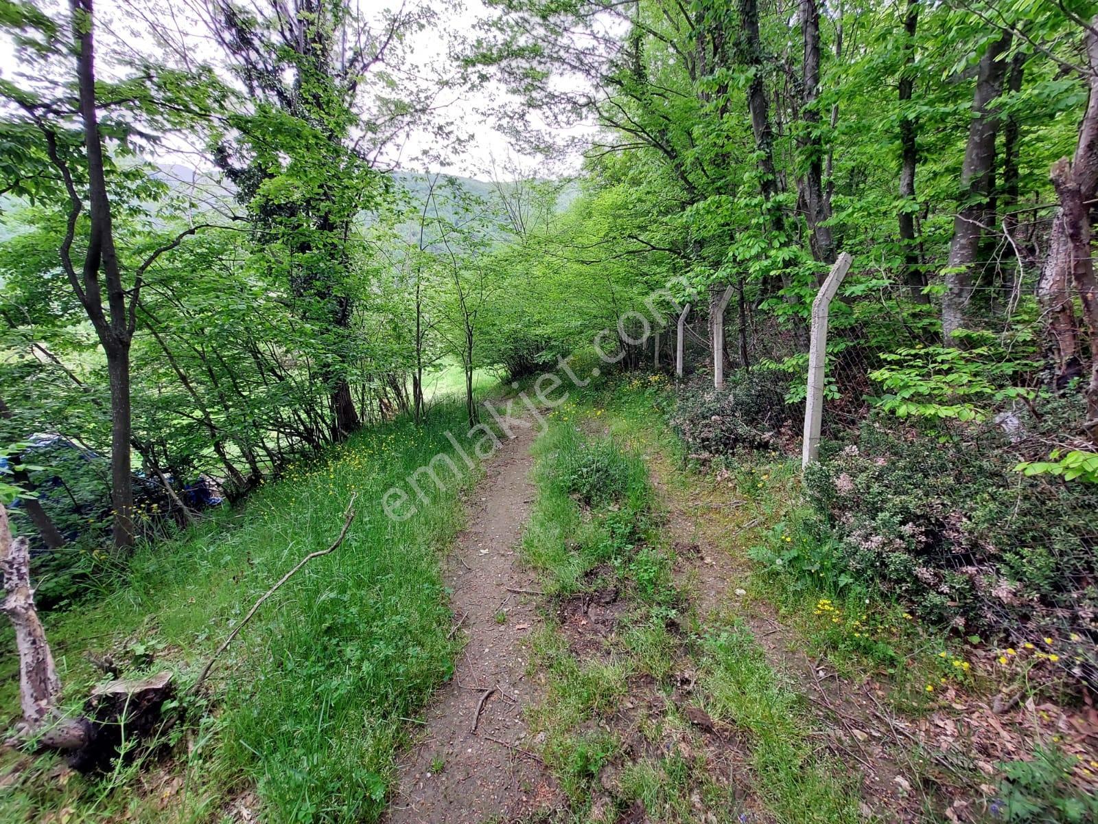 Cumalıkızık Civarı 2651 M2 Bahçe Suyu Yolu Var - Görsel 20