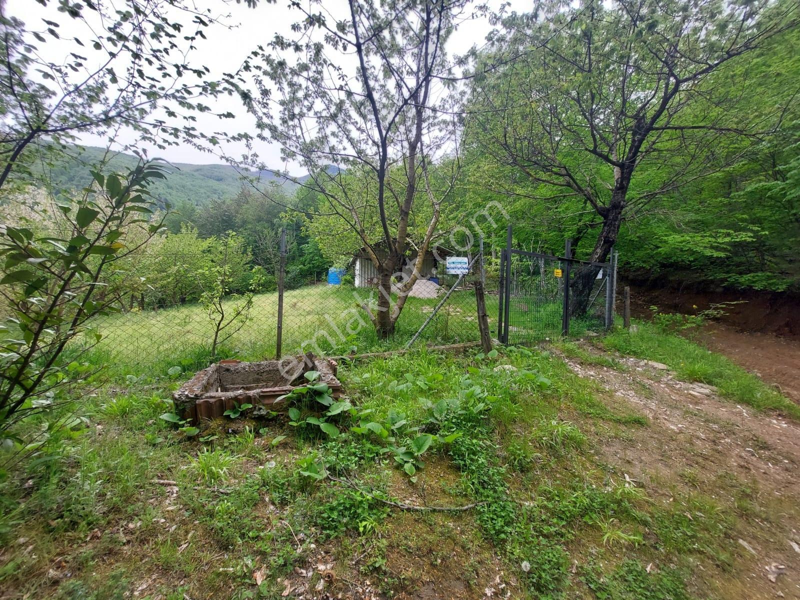 Cumalıkızık Civarı 2651 M2 Bahçe Suyu Yolu Var - Görsel 13