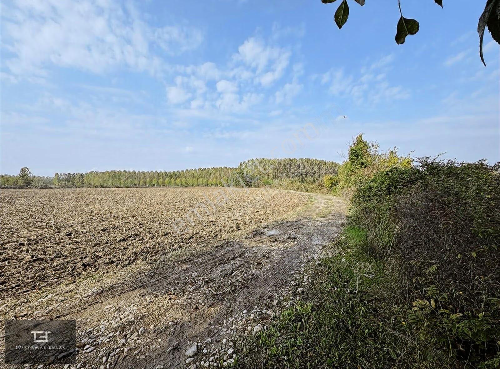 Erenler Şeyhköy 'de 11,680m2 Tarla Satılık. - Görsel 5