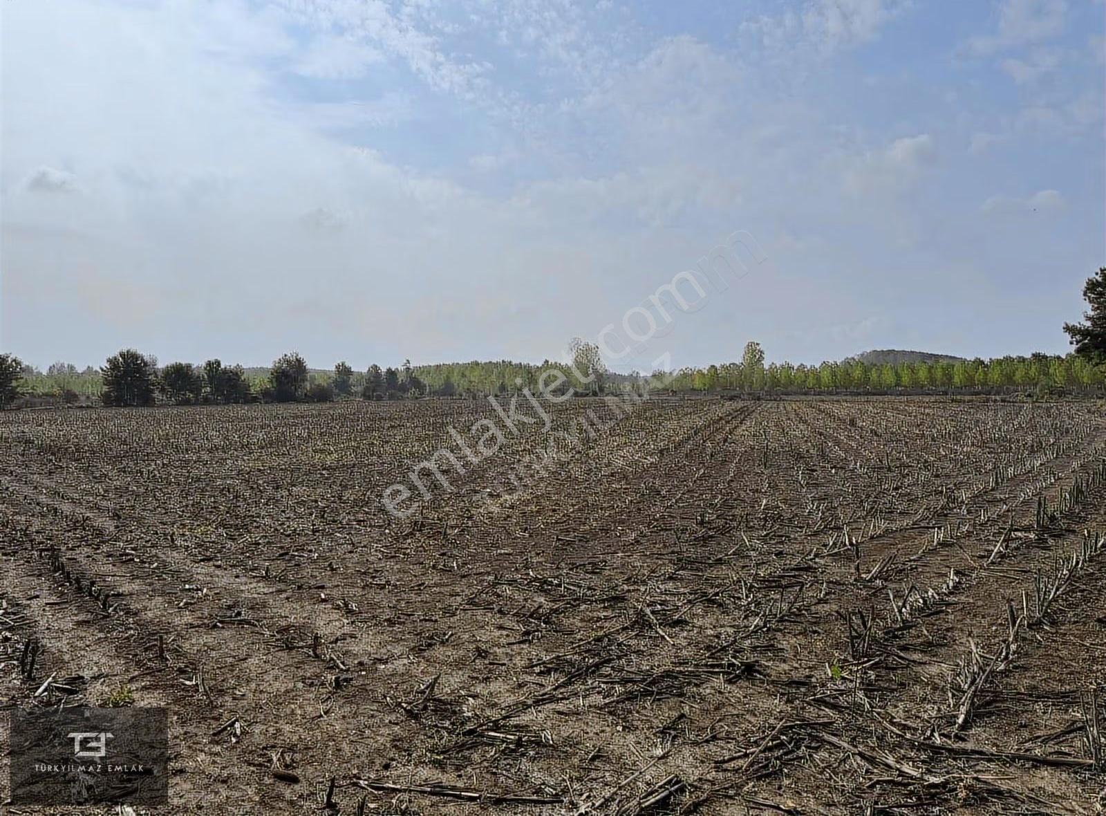 Erenler Şeyhköy 'de 11,680m2 Tarla Satılık. - Görsel 10
