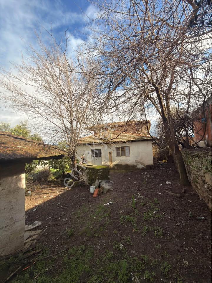 🏡 Satılık Kargir Köy Evi – Aydın / Bozdoğan / Haydere - Görsel 8