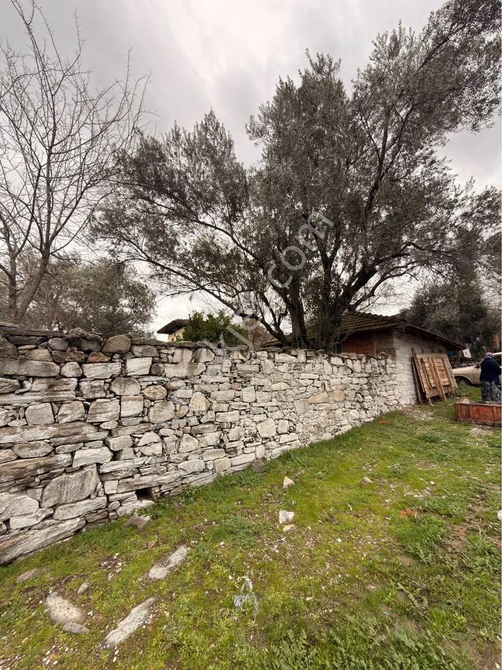 🏡 Satılık Kargir Köy Evi – Aydın / Bozdoğan / Haydere - Görsel 11