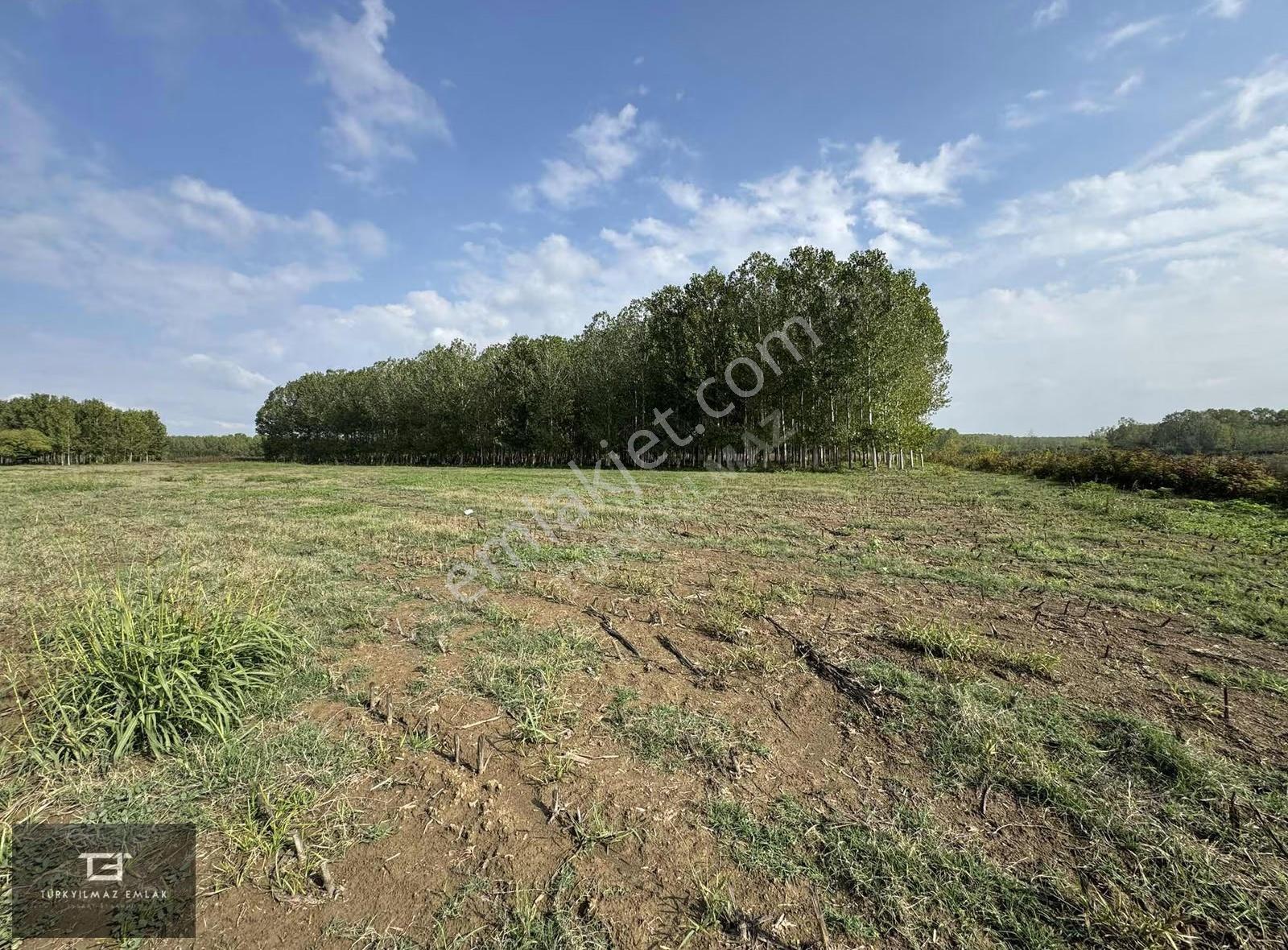 Erenler Şeyhköy 'de 15.200m2 Tarla Satılık.