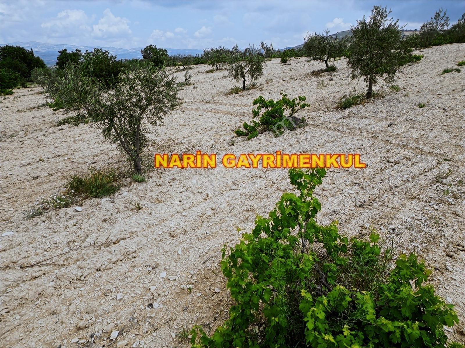 **fırsat Arazi**şahinbey Ufacık Ta 150 Zeytin 150 Üzüm Resmi Yol