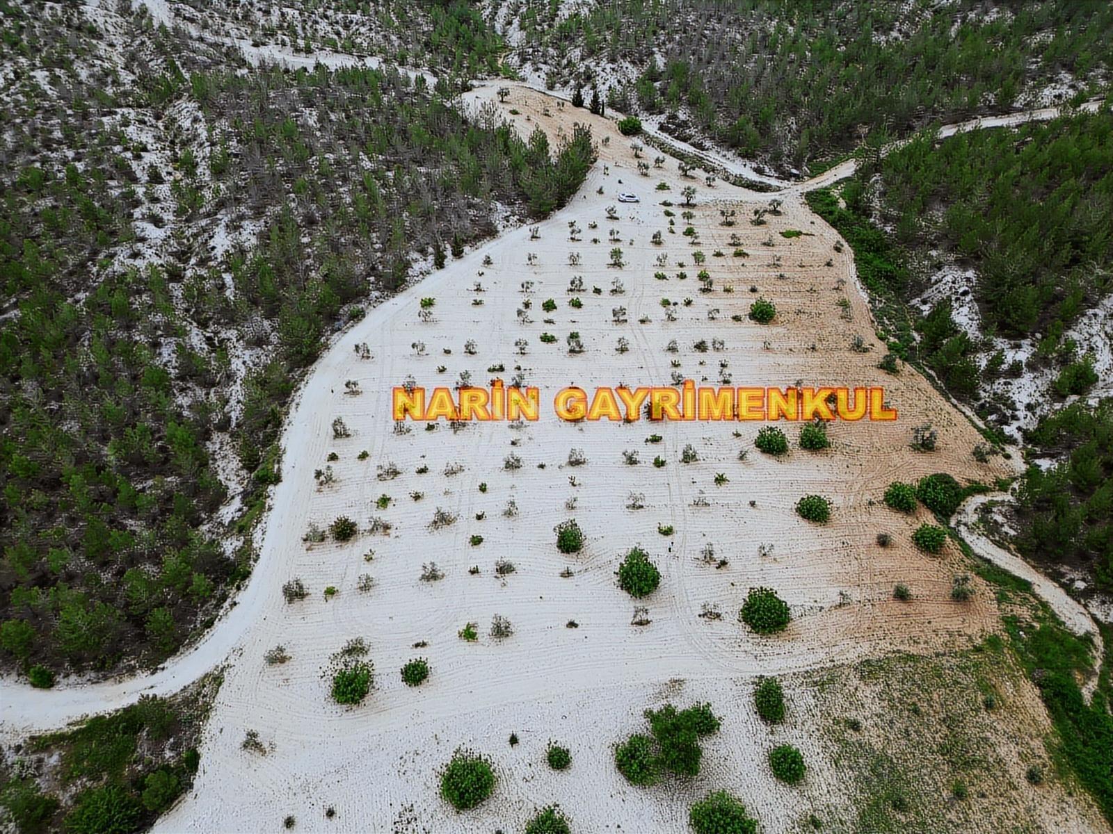 **fırsat Arazi**şahinbey Ufacık Ta 150 Zeytin 150 Üzüm Resmi Yol - Görsel 5