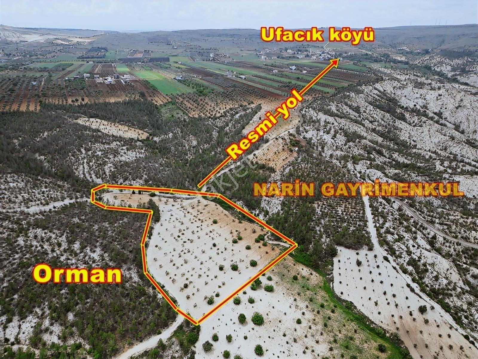 **fırsat Arazi**şahinbey Ufacık Ta 150 Zeytin 150 Üzüm Resmi Yol - Görsel 3