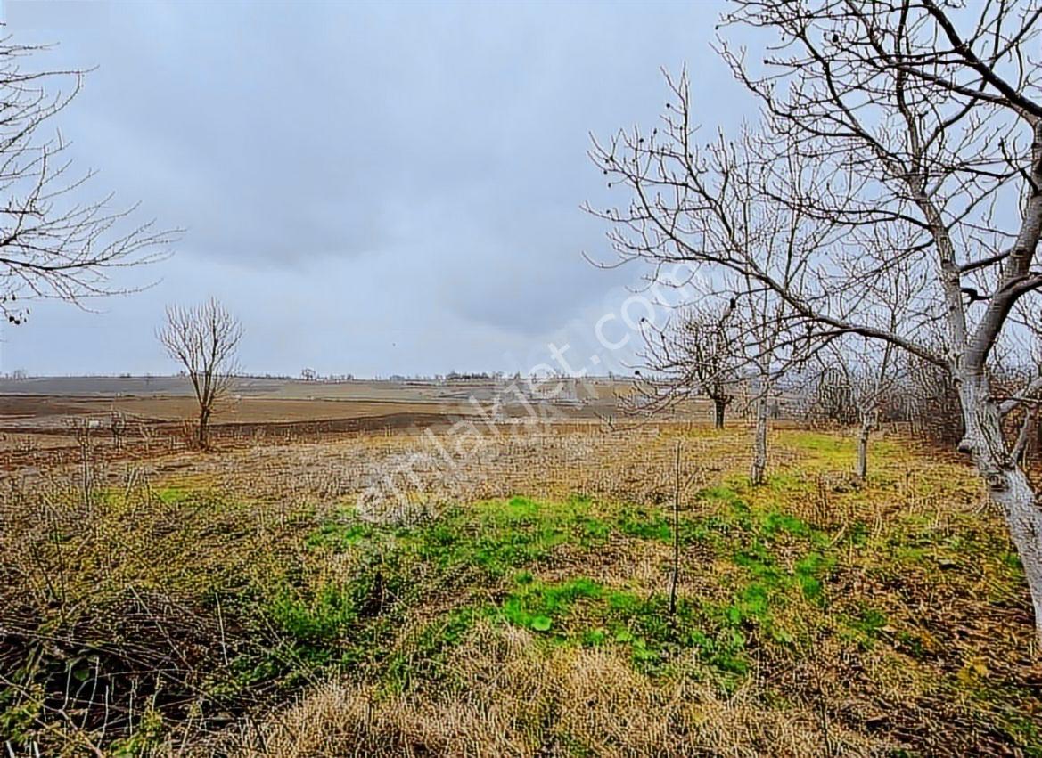 Kristal İz Yenişehir Karaamca' Da Satılık Bahçe - Görsel 2