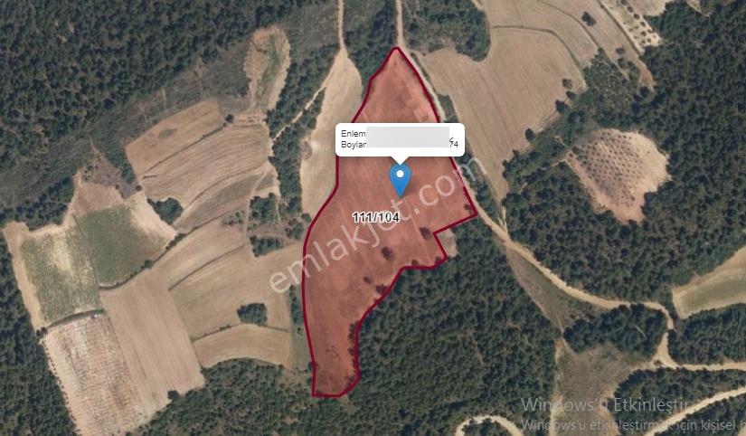 Bilecik Osmaneli Çiftlik Köyünde 30.000m2 Tarla - Görsel 4