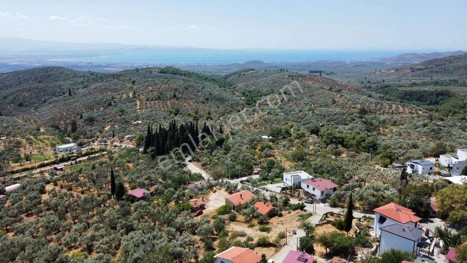 Mera Emlak Beyoba Köyü Deniz Manz 27 Villa Veya 54 Dairelik Arsa - Görsel 27