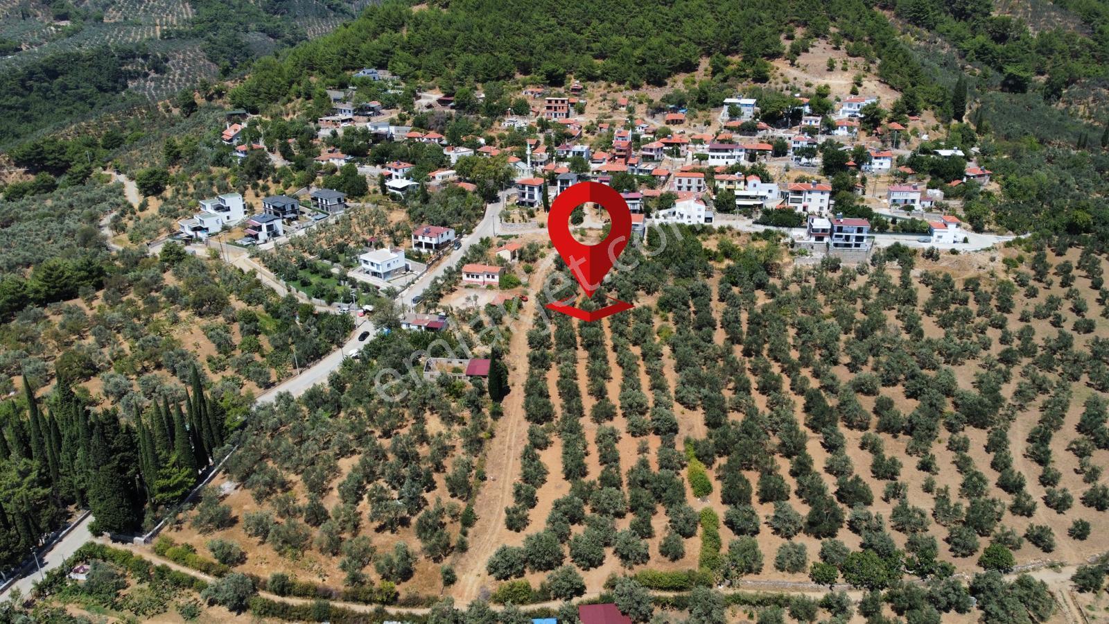 Mera Emlak Beyoba Köyü Deniz Manz 27 Villa Veya 54 Dairelik Arsa - Görsel 26