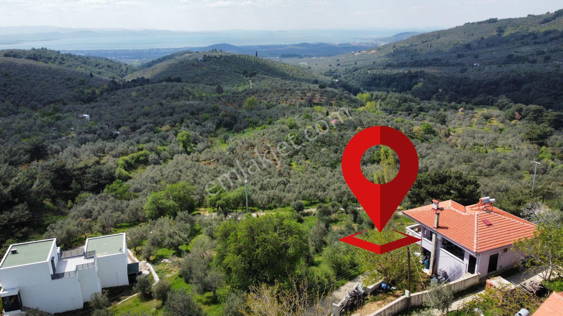 Mera Emlaktan Beyoba Köyü Deniz Manzaralı 3 Villalık İmarlı Arsa - Görsel 18