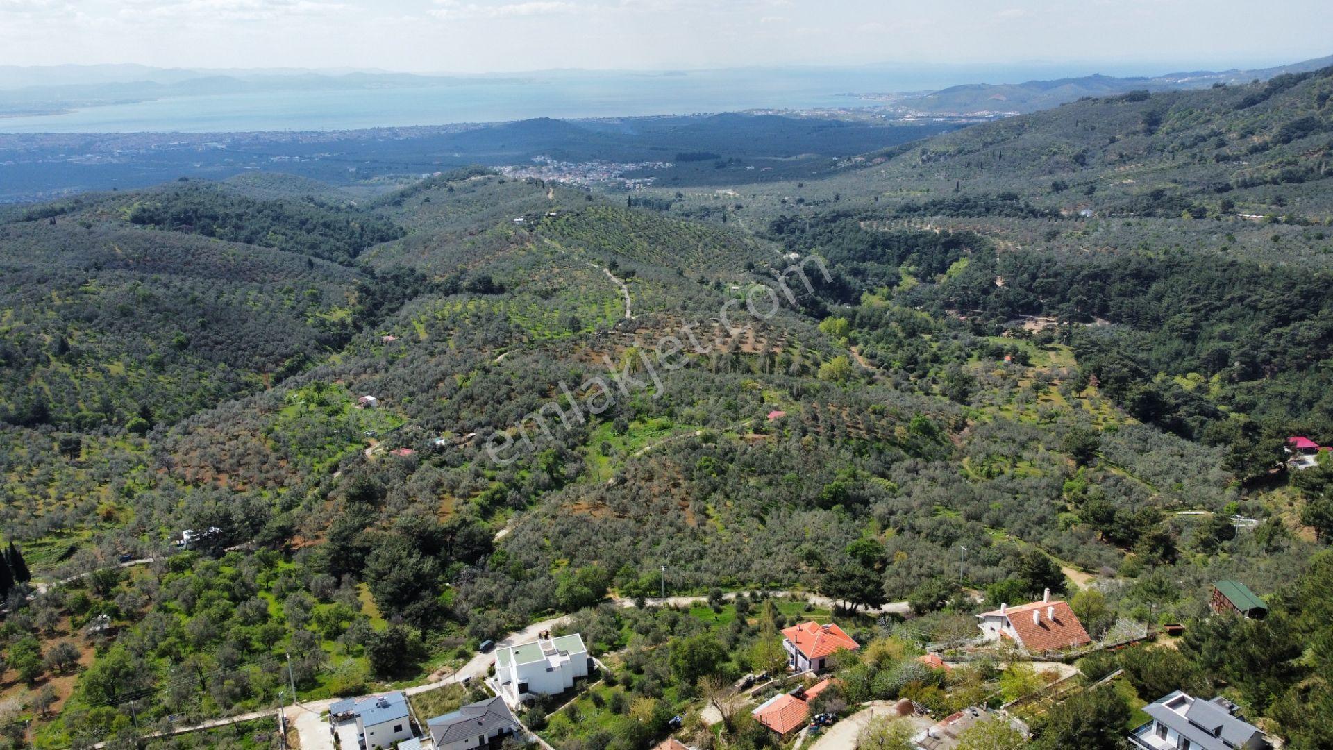 Mera Emlaktan Beyoba Köyü Deniz Manzaralı 3 Villalık İmarlı Arsa - Görsel 5