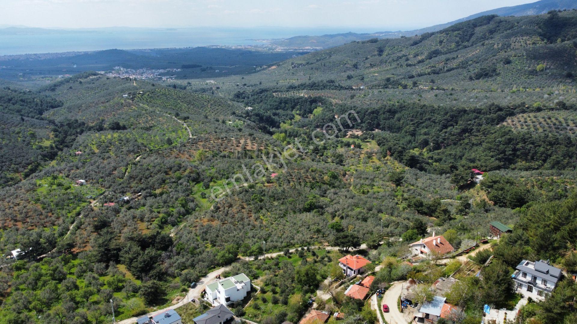 Mera Emlaktan Beyoba Köyü Deniz Manzaralı 3 Villalık İmarlı Arsa - Görsel 6