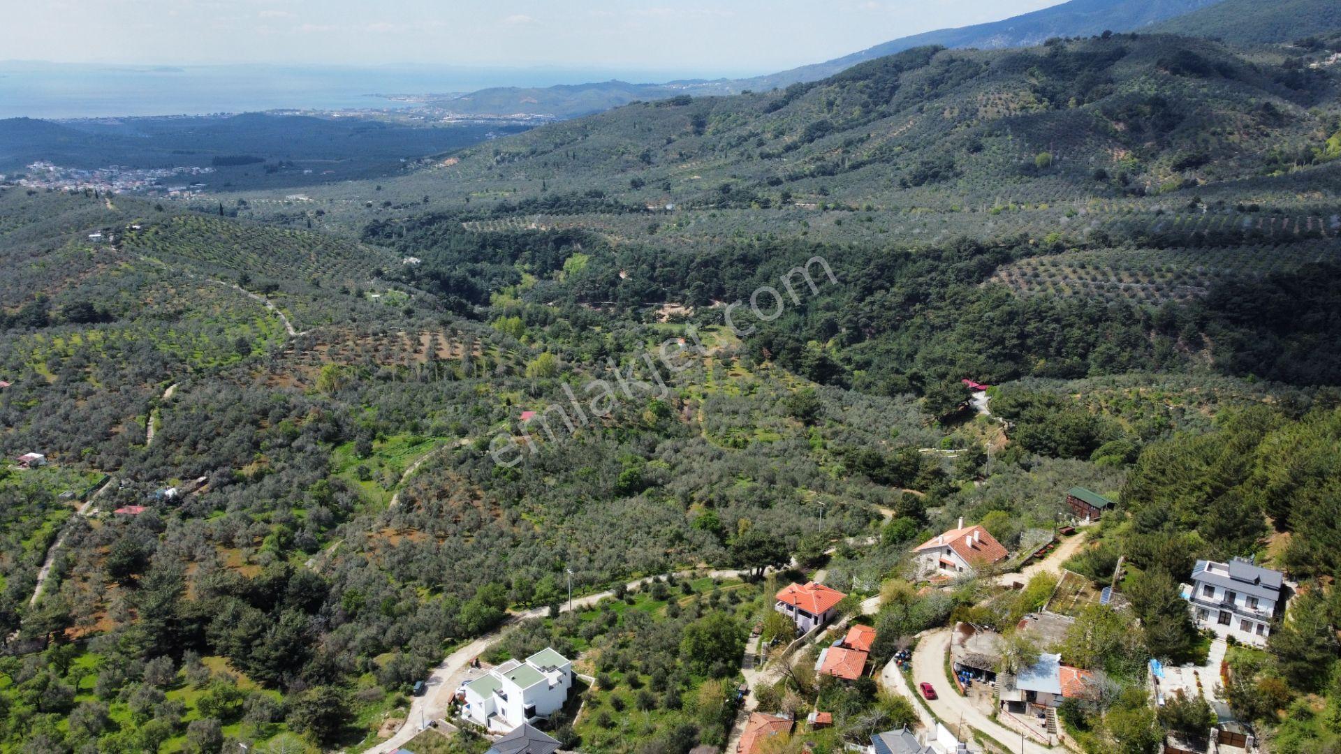 Mera Emlaktan Beyoba Köyü Deniz Manzaralı 3 Villalık İmarlı Arsa - Görsel 7