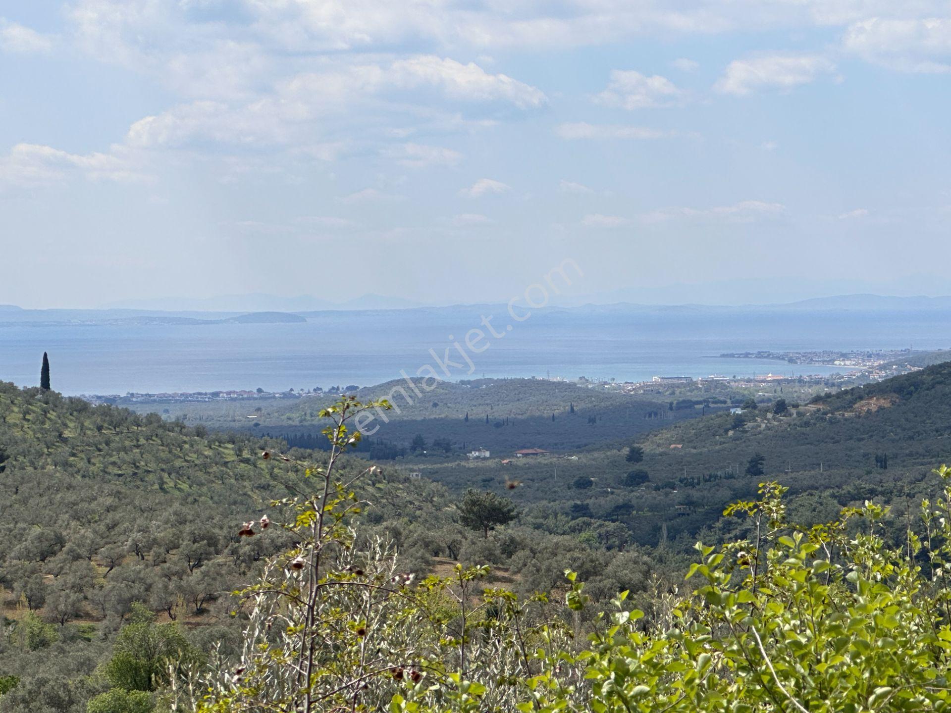 Mera Emlaktan Beyoba Köyü Deniz Manzaralı 3 Villalık İmarlı Arsa - Görsel 19