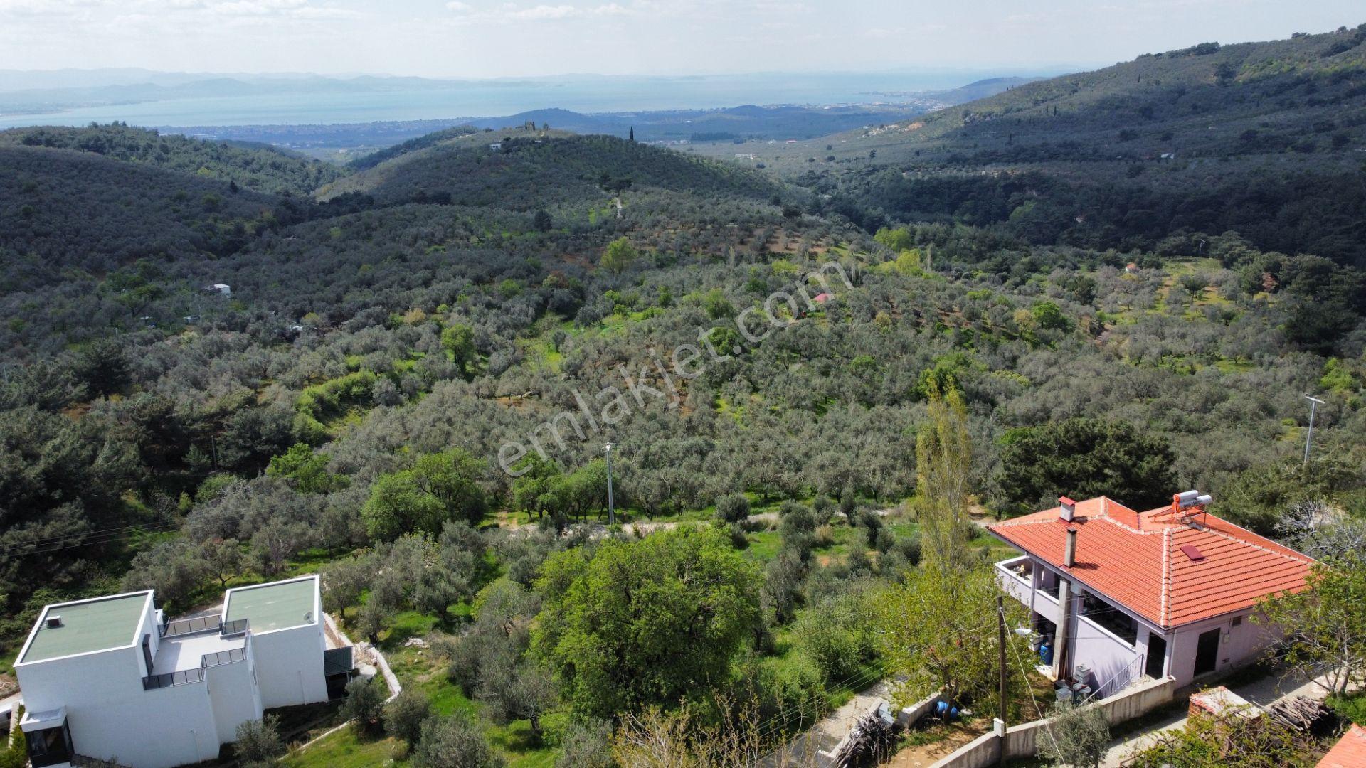 Mera Emlaktan Beyoba Köyü Deniz Manzaralı 3 Villalık İmarlı Arsa - Görsel 9