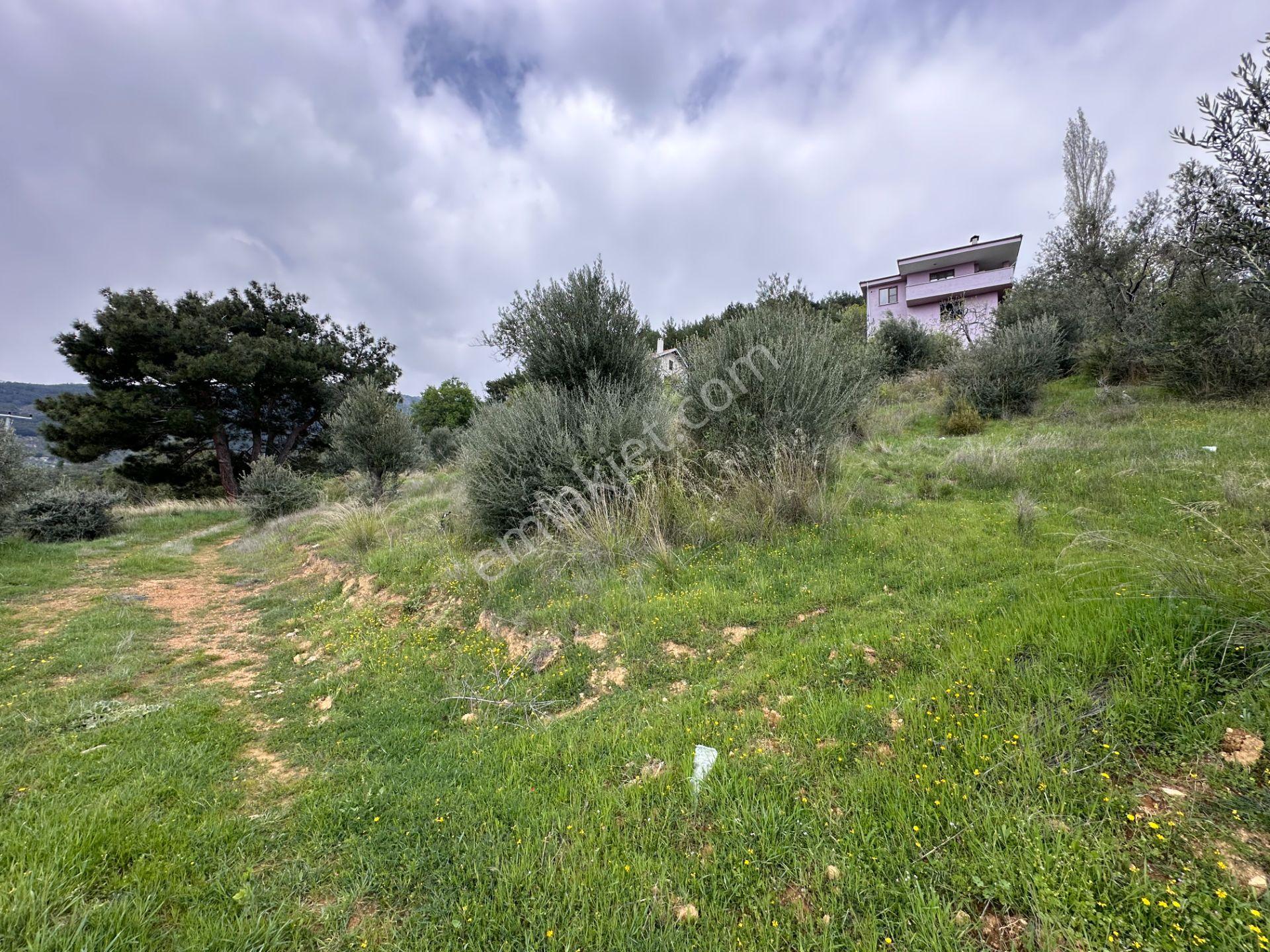 Mera Emlaktan Beyoba Köyü Deniz Manzaralı 3 Villalık İmarlı Arsa - Görsel 30