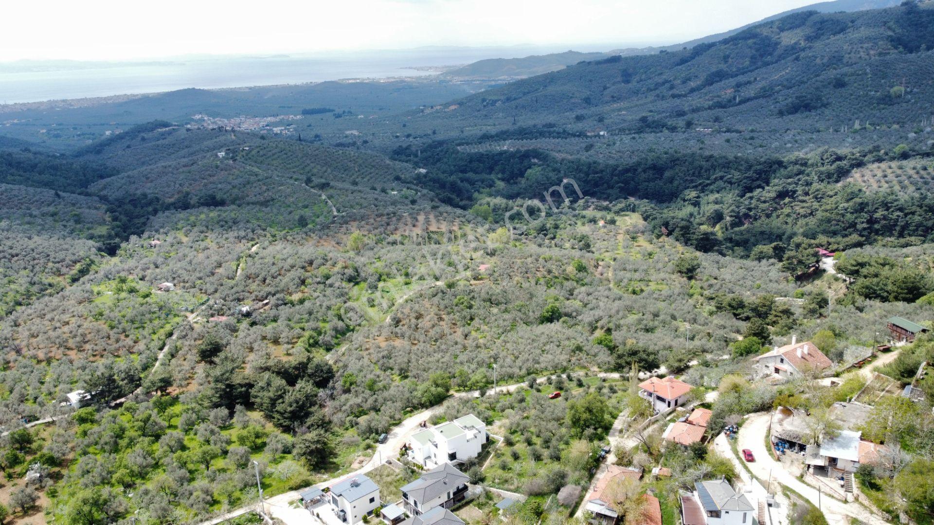 Mera Emlaktan Beyoba Köyü Deniz Manzaralı 3 Villalık İmarlı Arsa - Görsel 11