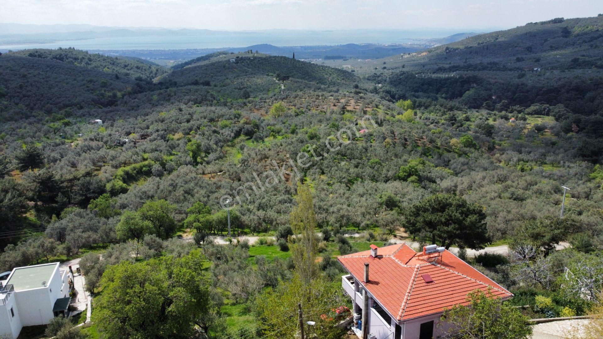 Mera Emlaktan Beyoba Köyü Deniz Manzaralı 3 Villalık İmarlı Arsa - Görsel 10