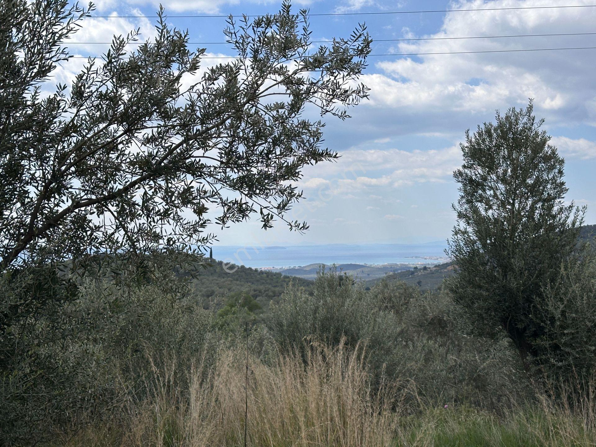 Mera Emlaktan Beyoba Köyü Deniz Manzaralı 3 Villalık İmarlı Arsa - Görsel 33