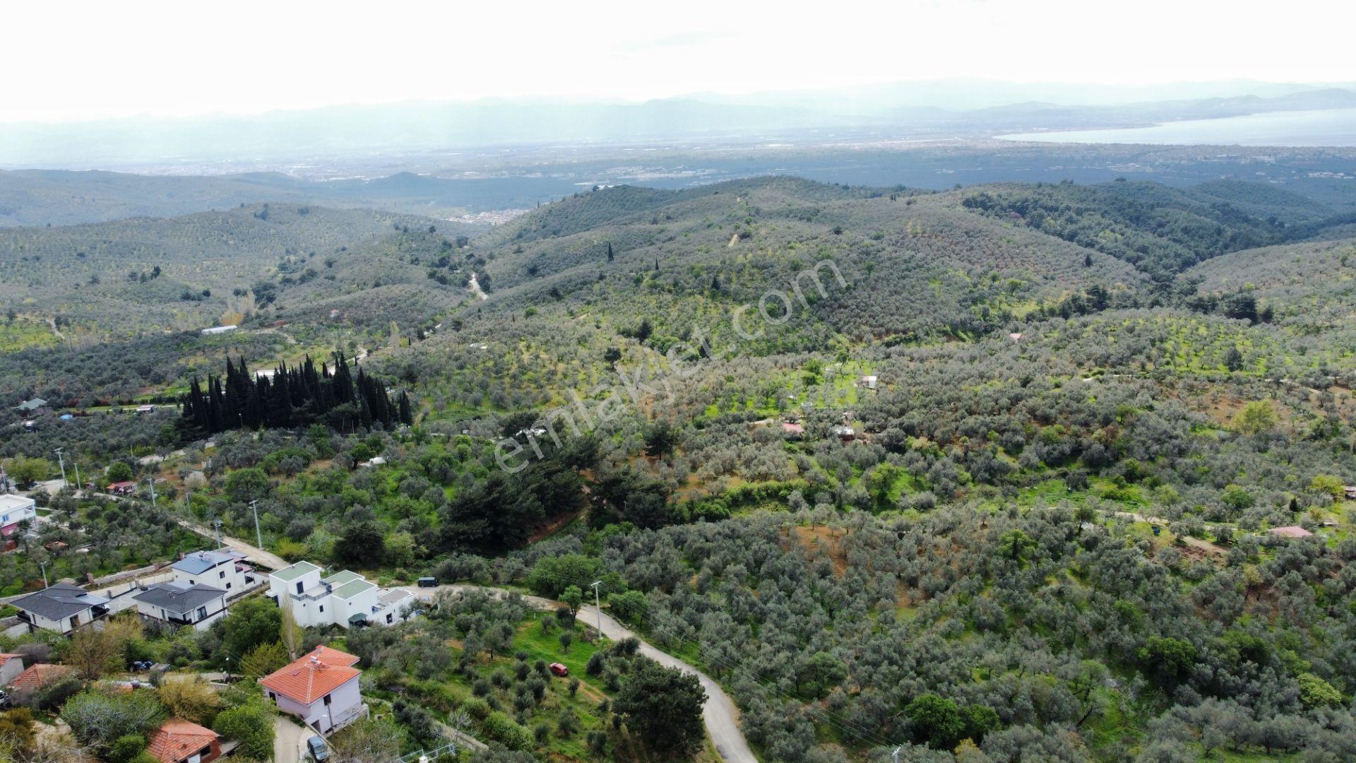 Mera Emlaktan Beyoba Köyü Deniz Manzaralı 3 Villalık İmarlı Arsa - Görsel 12