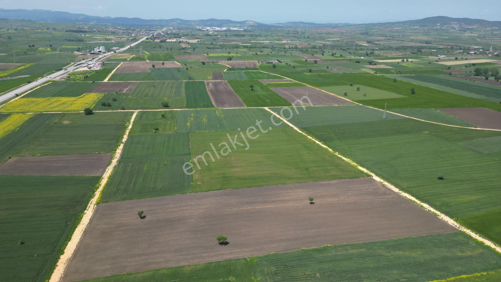 Biga Göktepe Köyü’nde 23.852 M² Resmi Yol Cepheli Yatırımlık Arazi - Görsel 8