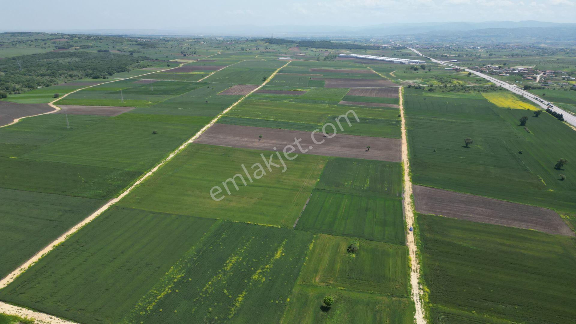 Biga Göktepe Köyü’nde 23.852 M² Resmi Yol Cepheli Yatırımlık Arazi - Görsel 6