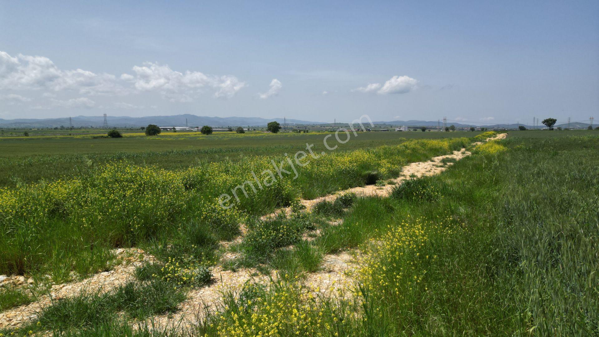 Biga Göktepe Köyü’nde 23.852 M² Resmi Yol Cepheli Yatırımlık Arazi - Görsel 13