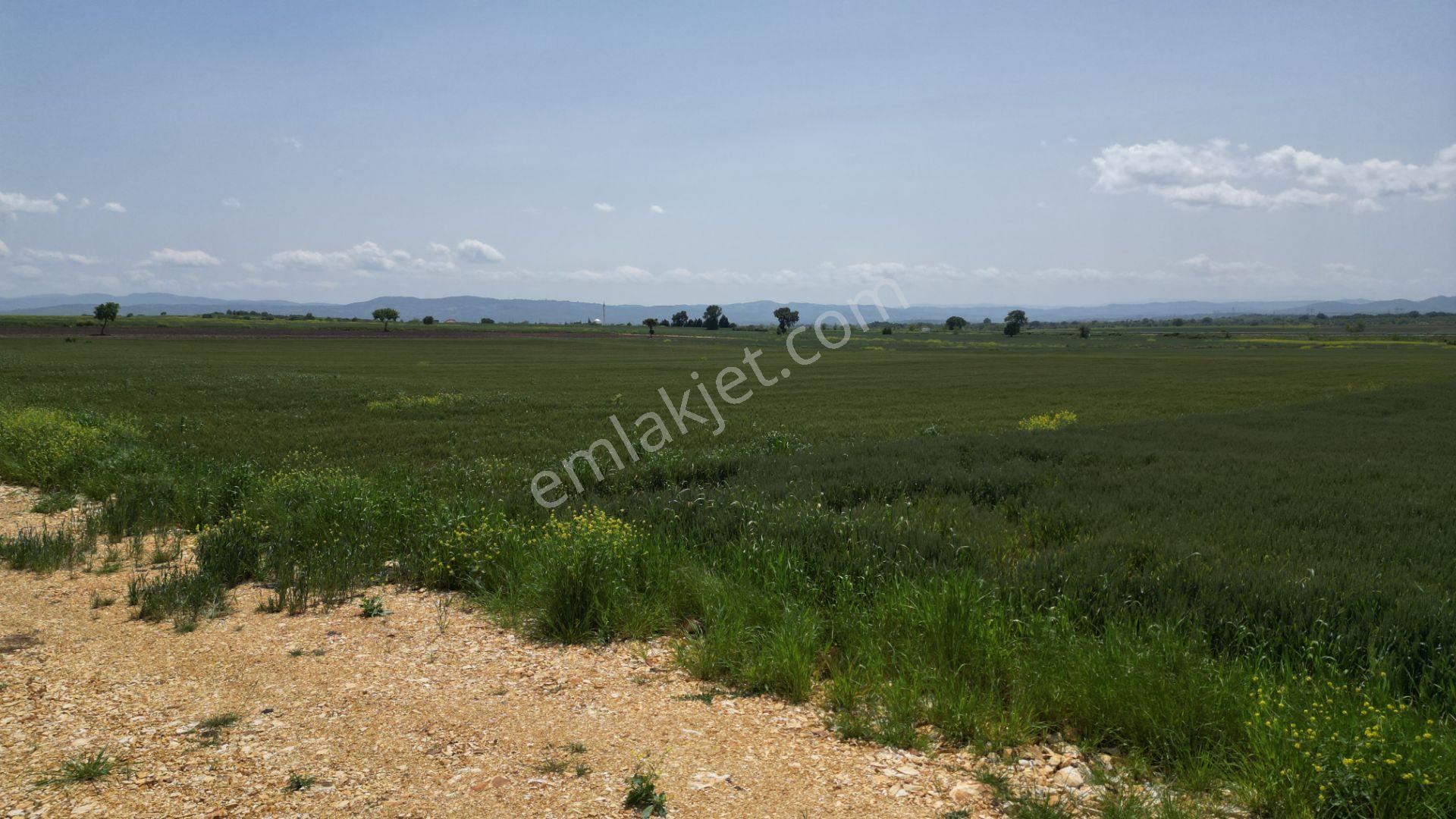 Biga Göktepe Köyü’nde 23.852 M² Resmi Yol Cepheli Yatırımlık Arazi - Görsel 15
