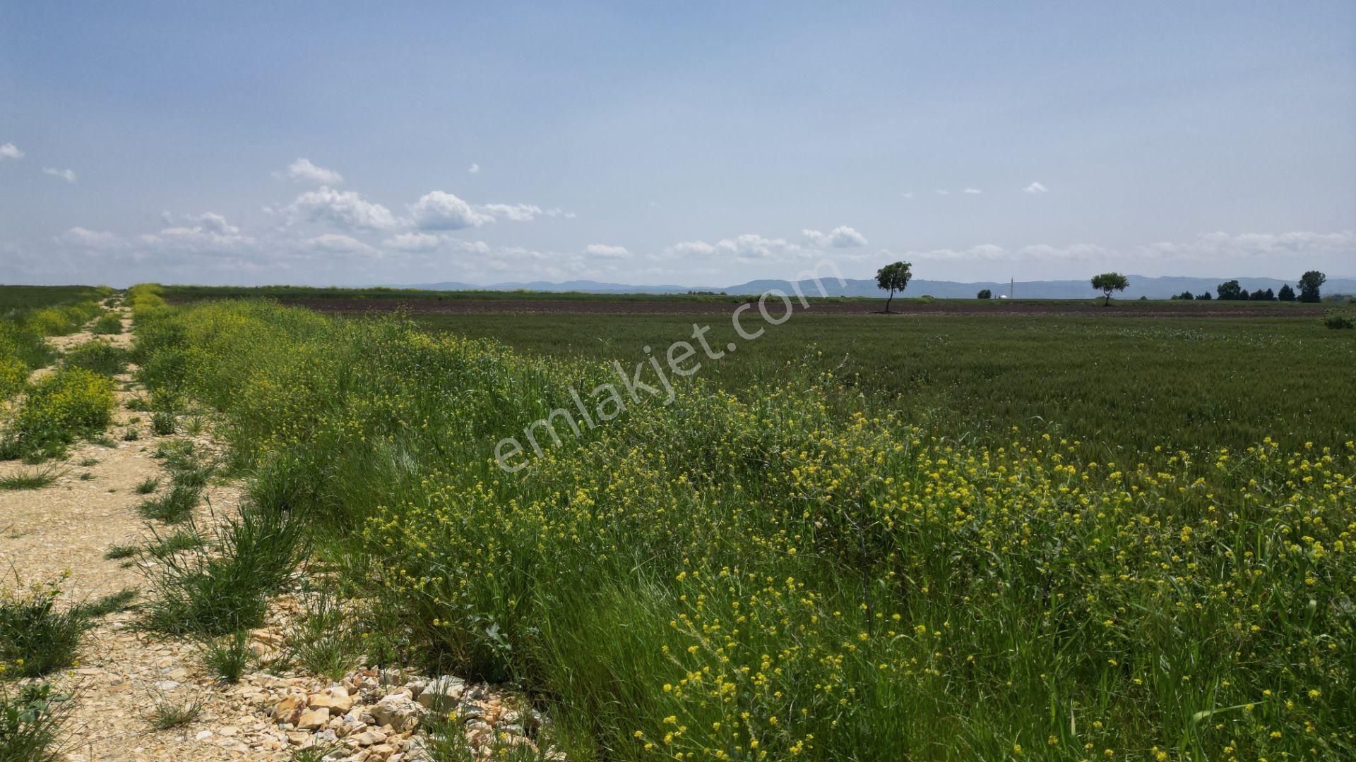 Biga Göktepe Köyü’nde 23.852 M² Resmi Yol Cepheli Yatırımlık Arazi - Görsel 12
