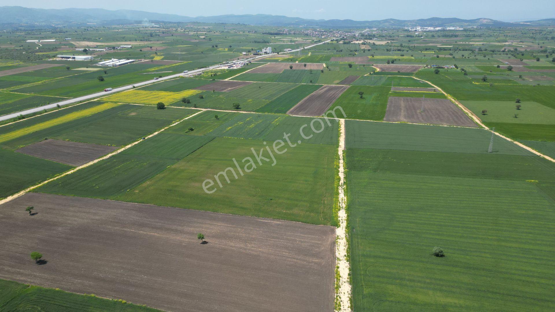 Biga Göktepe Köyü’nde 23.852 M² Resmi Yol Cepheli Yatırımlık Arazi - Görsel 9