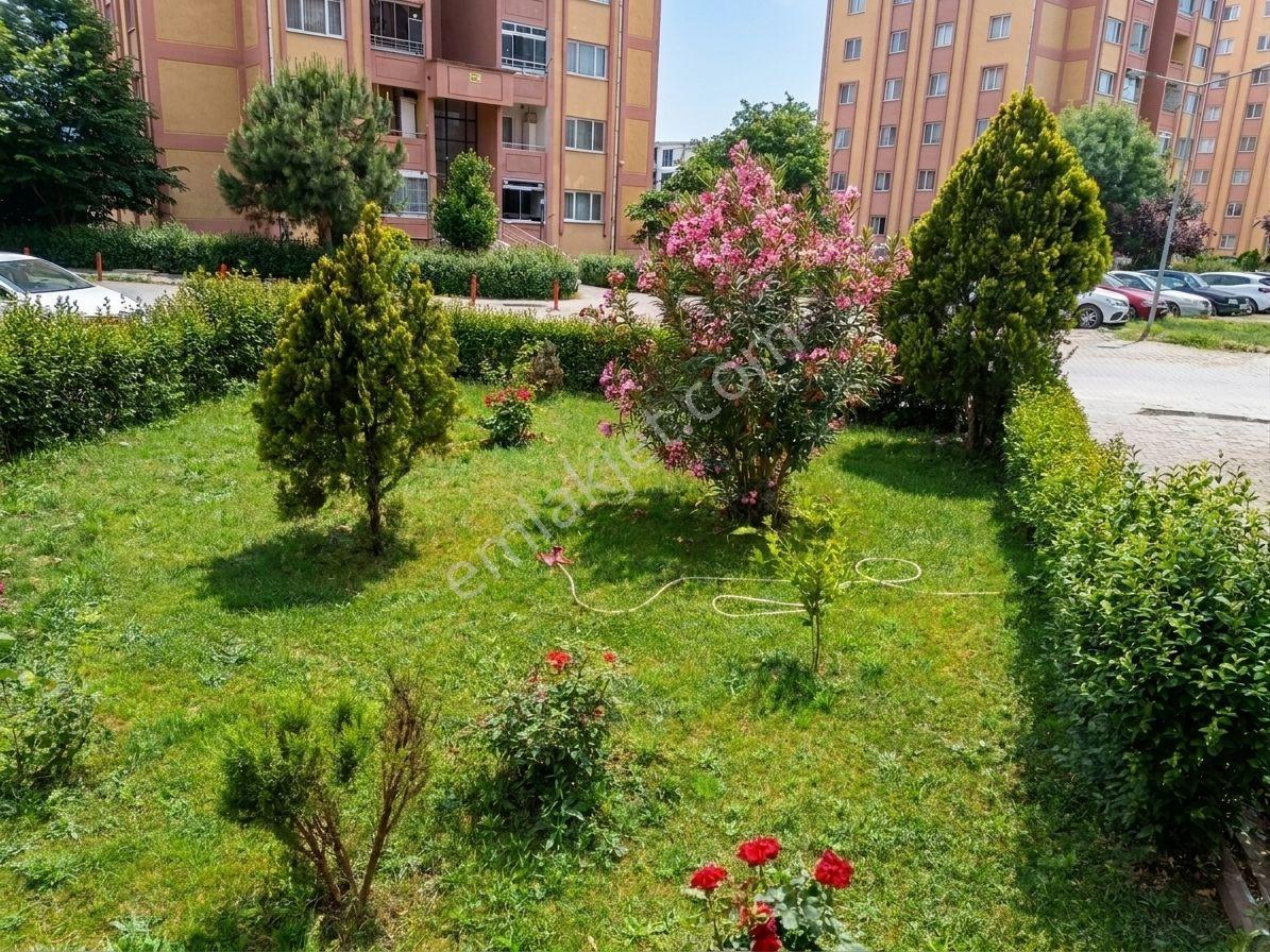 Remax Area'dan Yunuseli Toki Konutlarında 2+1 Kiralık Daire - Görsel 6