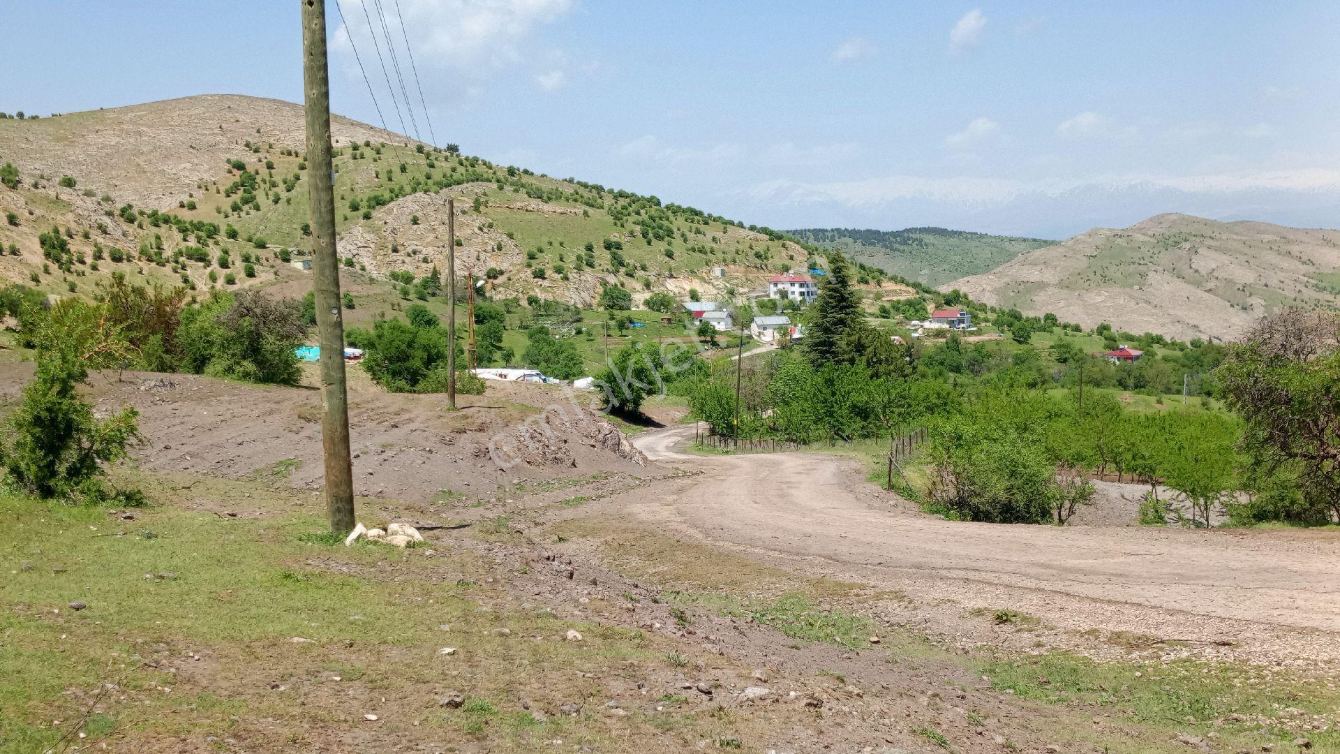 Emlakcı Yusuf Dan Keban Sağdıçlar Köyü'nde Satlık Tarla - Görsel 10