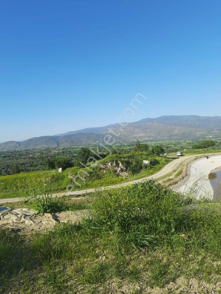 🌿 Aydın Bozdoğan Yeni Mahalle’de Satılık Full Donanımlı Zeytinlik 🌿 - Görsel 15