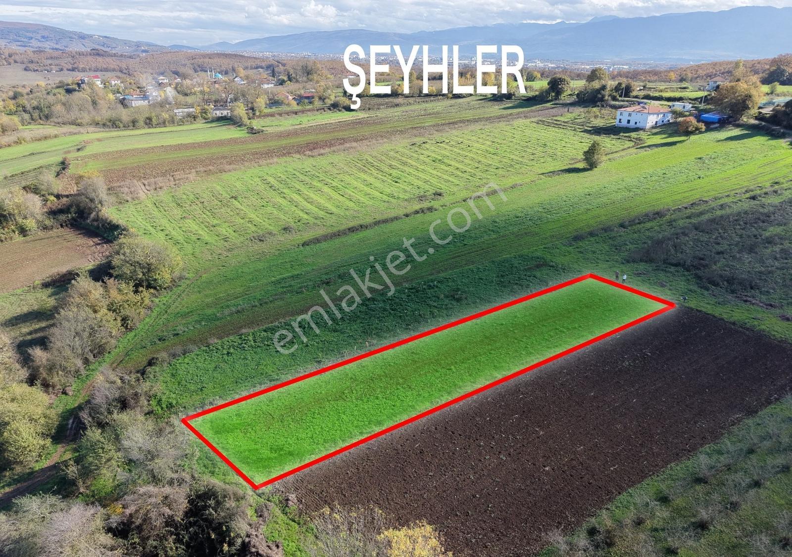 Emlak Evim Şeyhler Mah. 908 M2 Tarla !! Takas Olur - Görsel 14