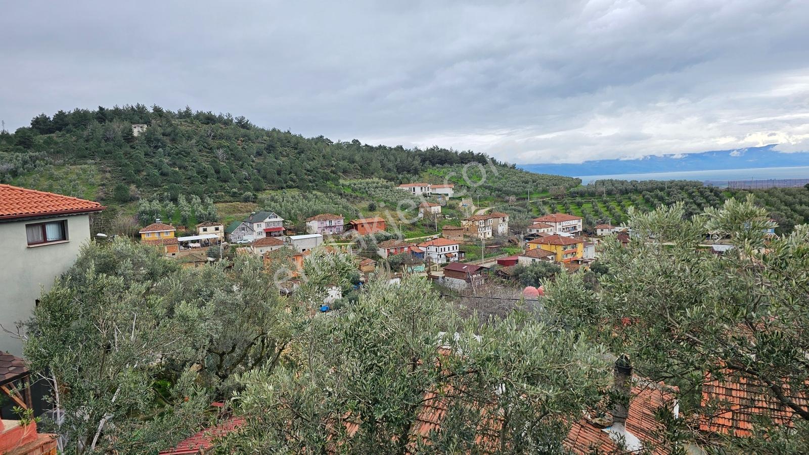 İznik İnikli'de,2 Katlı Evi Olan,göl Manzaralı 705 M² Arsa - Görsel 17