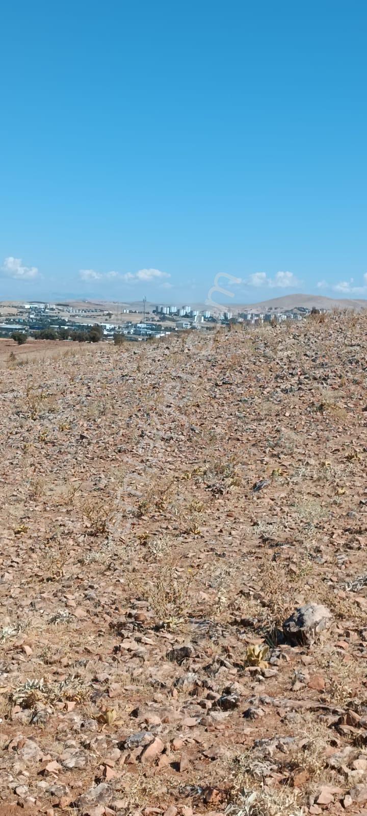 Mevsim Gayrimenkulden Aşağı Demirtaş'ta Satılık Villa Arsası - Görsel 14