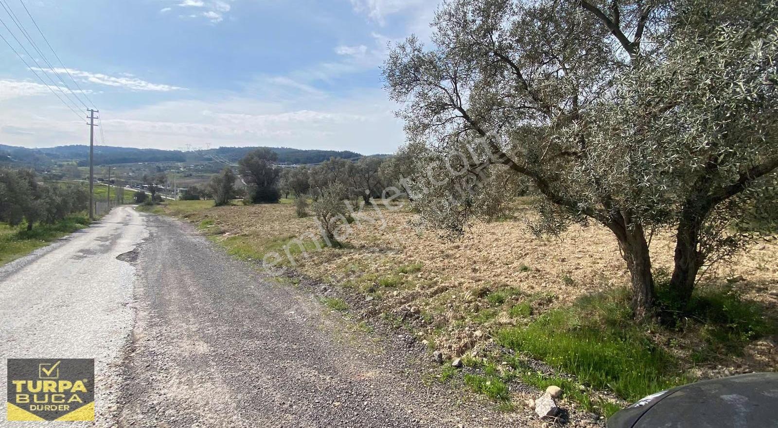 Turpa Buca Durder... Kırıklar'da 8.020m² Tek Tapu Arazi Fırsatı! - Görsel 12