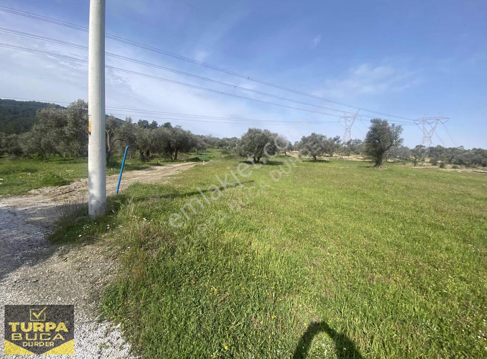 Turpa Buca Durder... Kırıklar'da 8.020m² Tek Tapu Arazi Fırsatı! - Görsel 5
