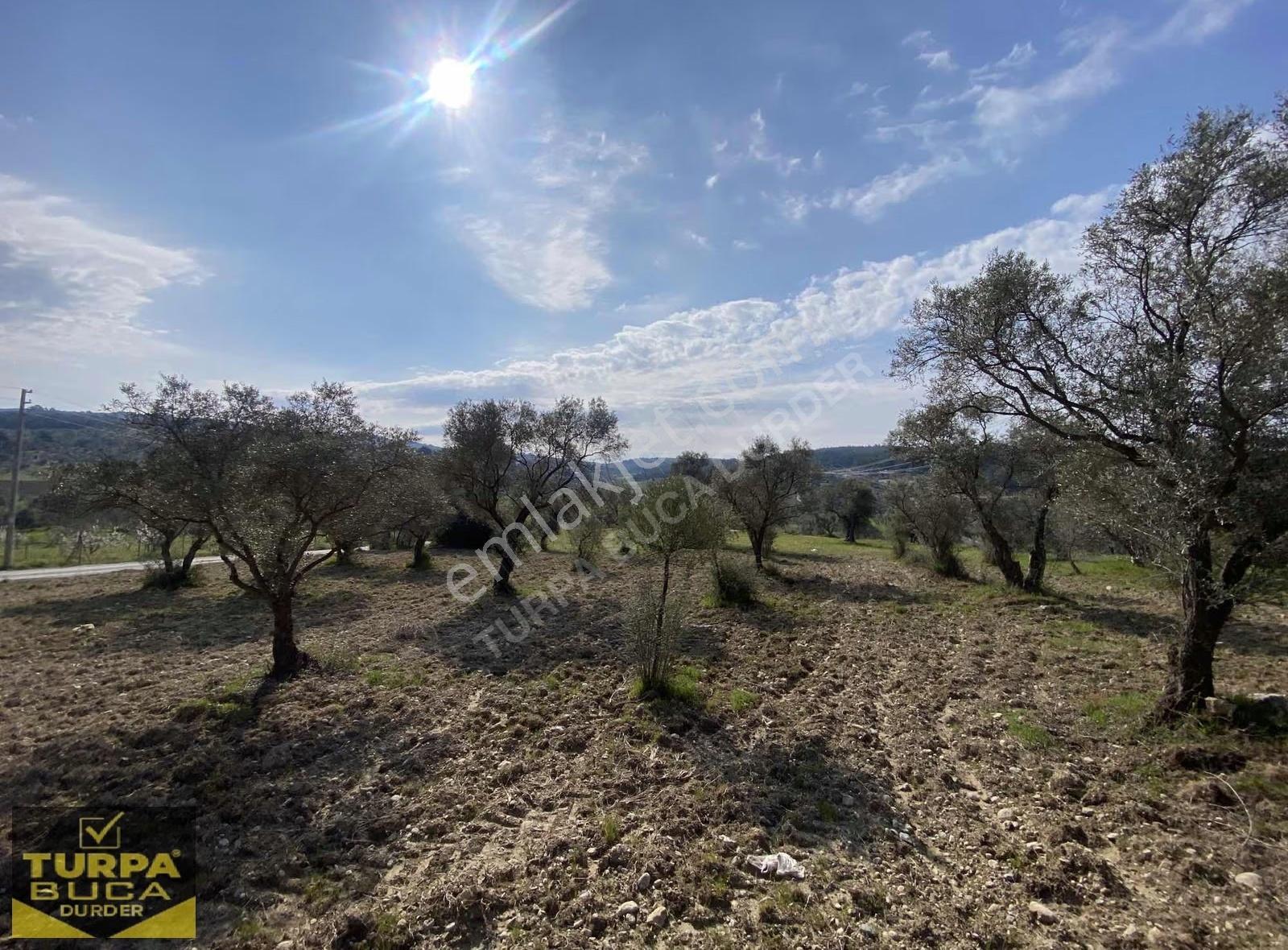 Turpa Buca Durder... Kırıklar'da 8.020m² Tek Tapu Arazi Fırsatı! - Görsel 29