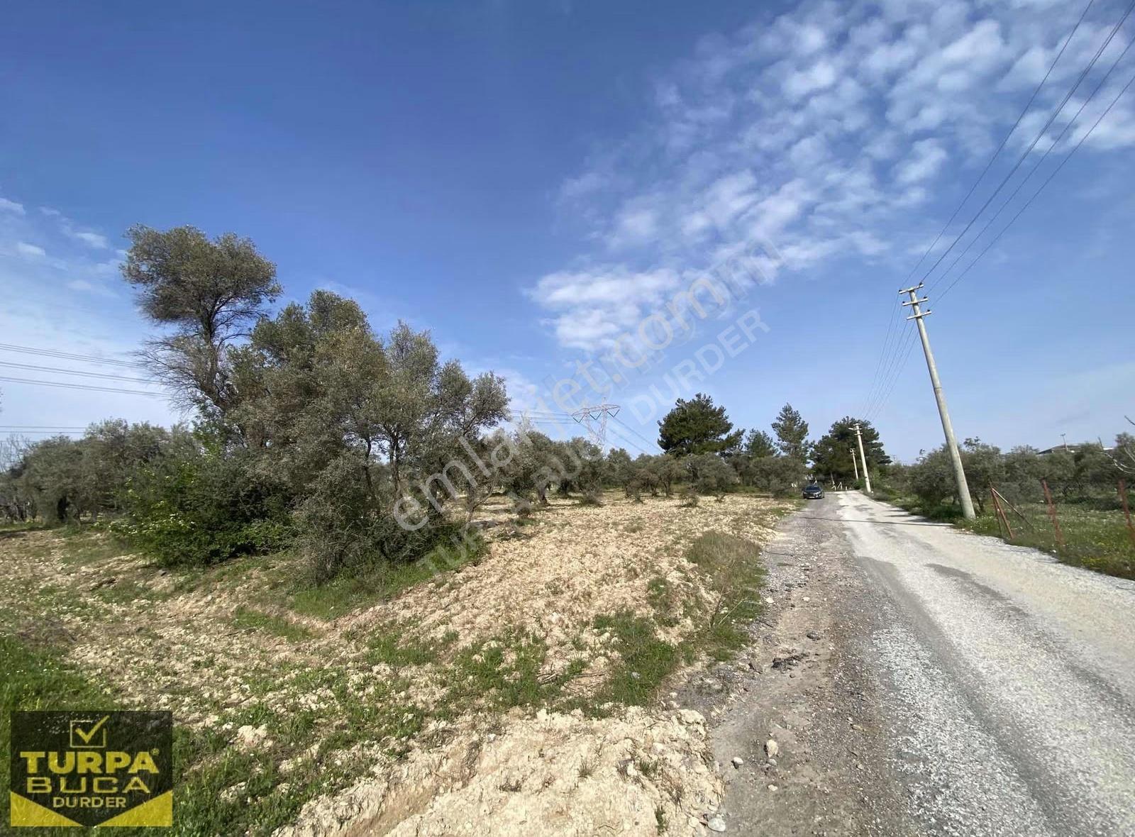 Turpa Buca Durder... Kırıklar'da 8.020m² Tek Tapu Arazi Fırsatı! - Görsel 16