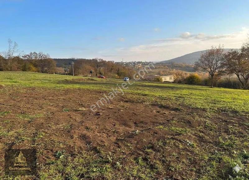 Atakum Köseli Köyünde Asfalt Yola Cephe Satılık Tarla - Görsel 5