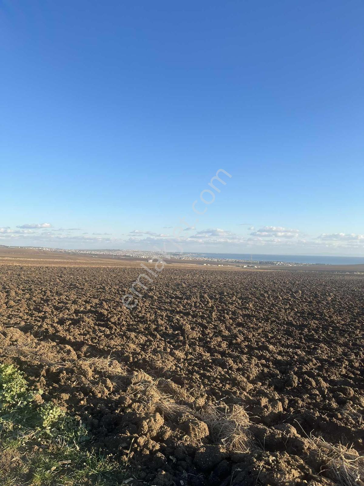 Marmaraereğlısı Çeşmelide Deniz Manzaralı 359 M2 Arsa - Görsel 14