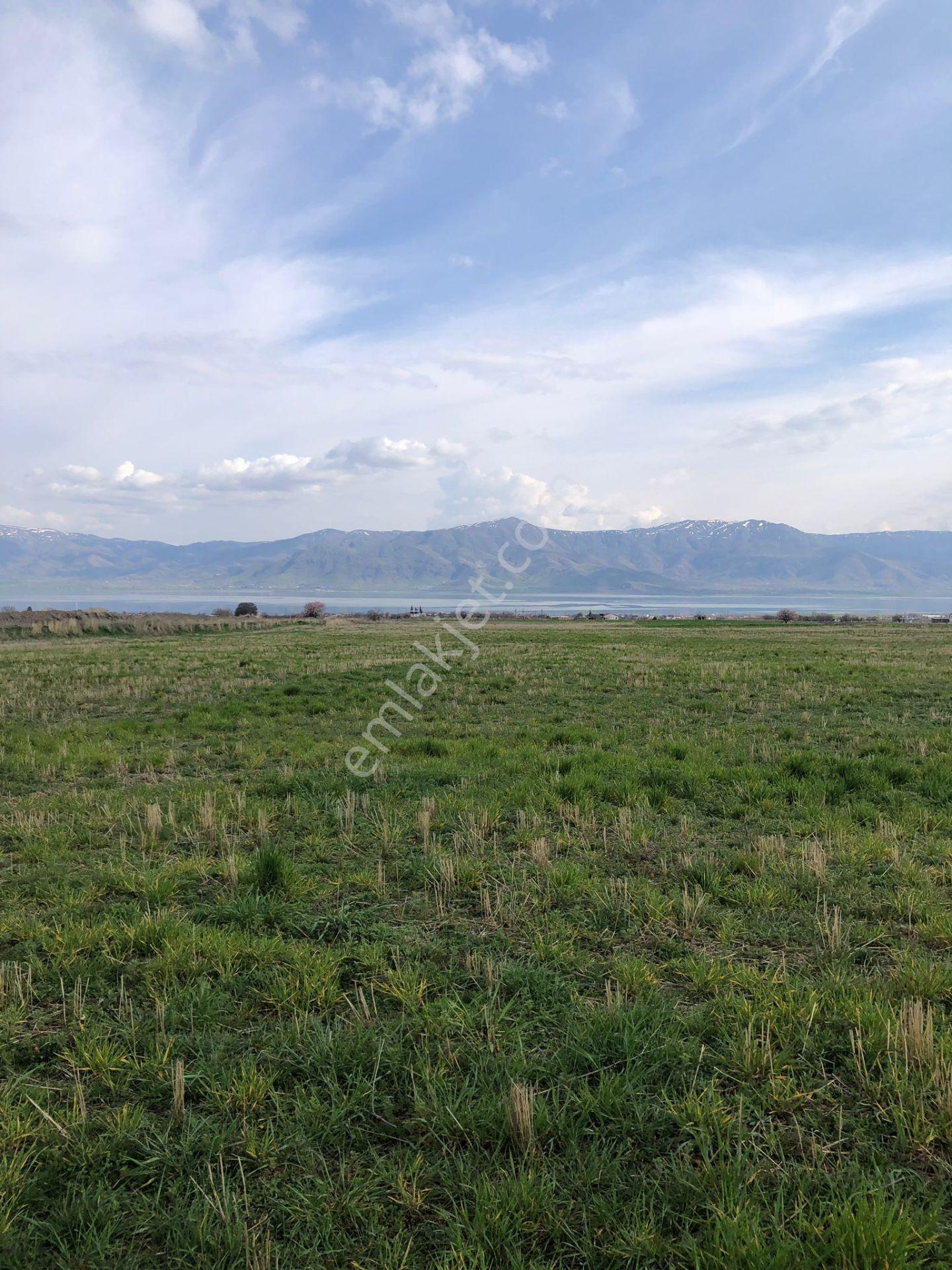 Mevsim Gayrimenkul Sedeftepe Mığı Bahçelik Yolu Olan Küçük Tarla