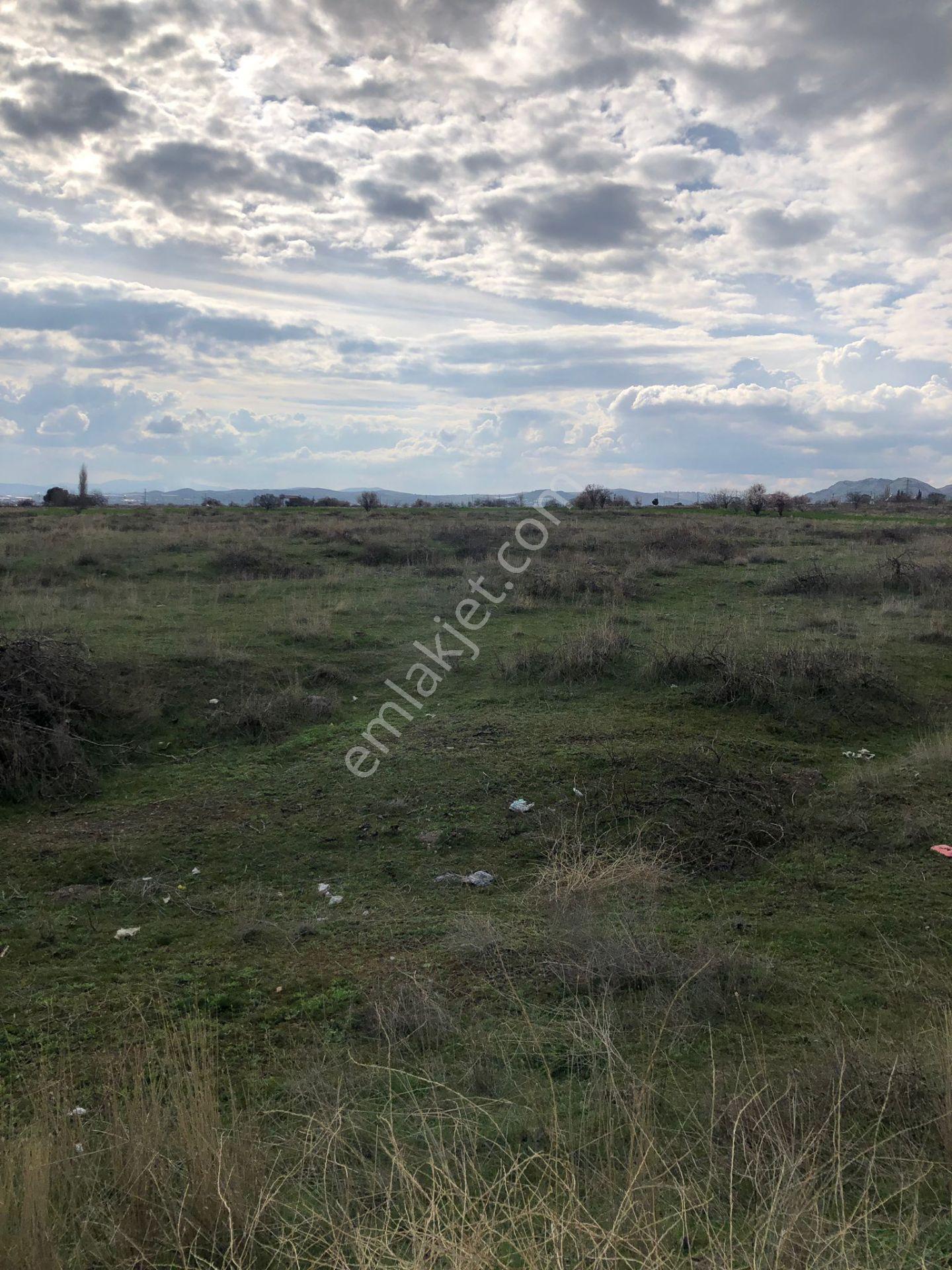 Mevsim Gayrimenkul Sedeftepe Mığı Bahçelik Yolu Olan Küçük Tarla - Görsel 11