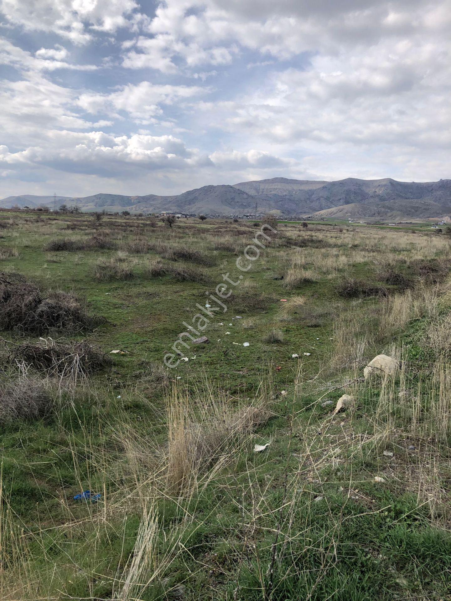Mevsim Gayrimenkul Sedeftepe Mığı Bahçelik Yolu Olan Küçük Tarla - Görsel 13